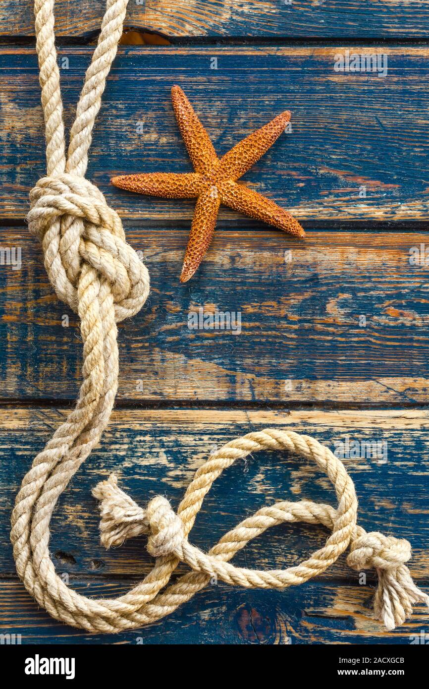 Sea background with starfish and marine rope Stock Photo - Alamy