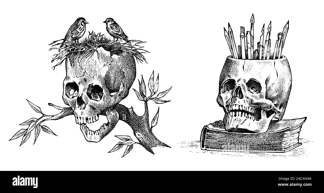 Human skull on a branch with birds Retro old school sketch for tattoo in vintage  style Monochrome Symbol of the Day of the Dead Hand drawn engraved Stock  Vector Image  Art 