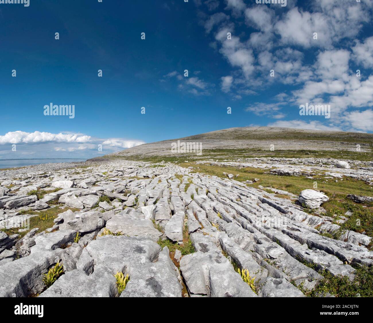 Panoramic view of limestone pavement at the Burren. The limestone is ...