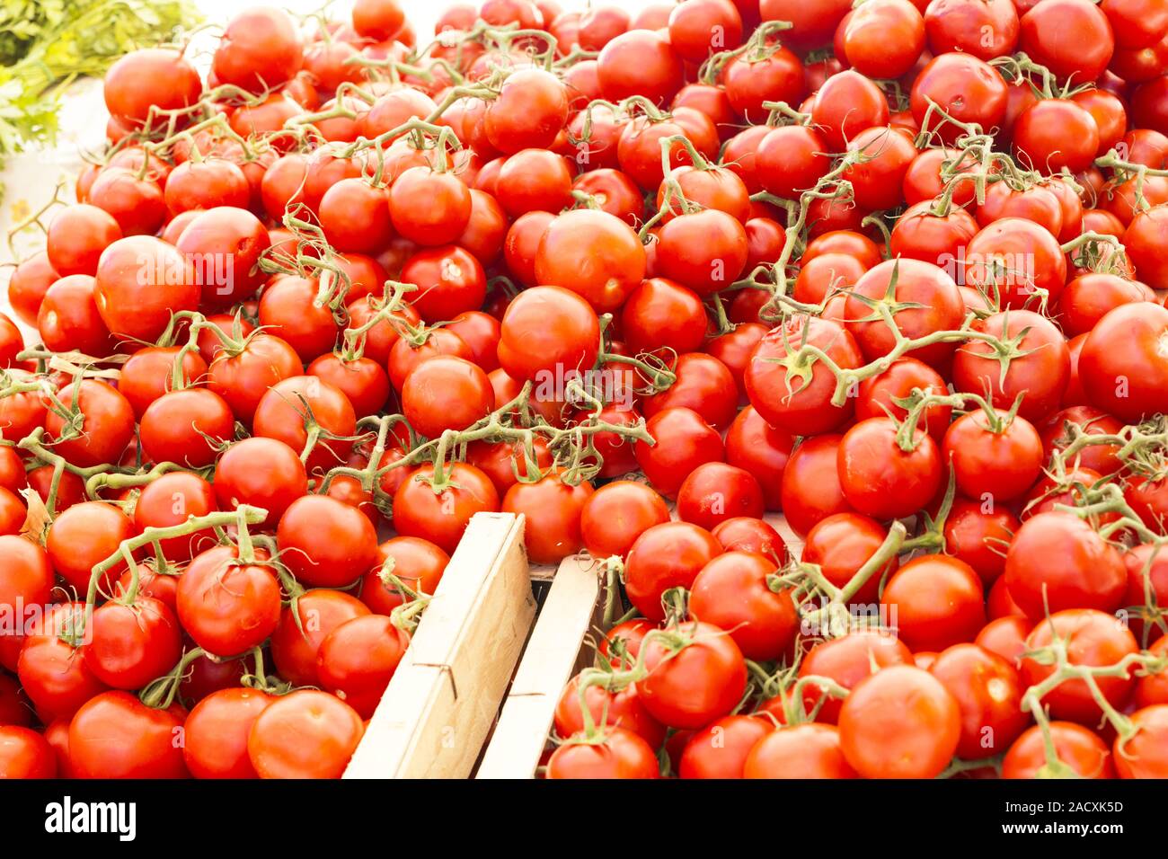 Tomatoes on a market in France Stock Photo Alamy