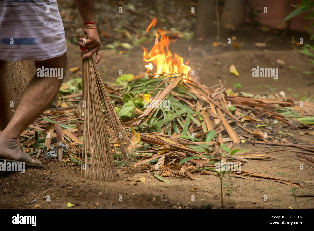 Cleaning Fallen Autumn Leaves In The Backyard