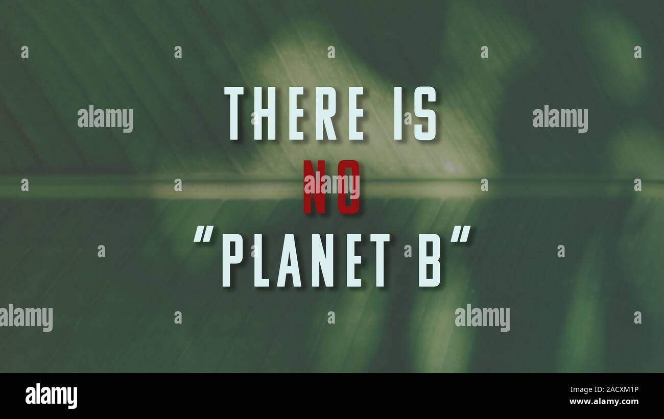 There is no planet B phrase on green plant background. The illustration for global warming, environmental damage and planet pollution topics Stock Photo