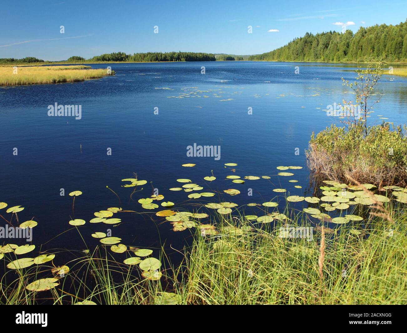 Lake in South Sweden near Hagfors in Värmland Stock Photo