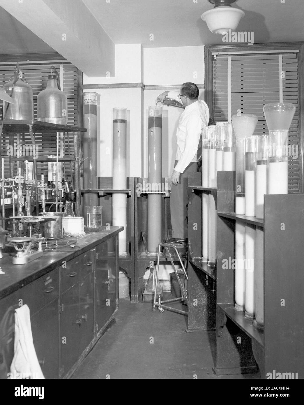 Editorial use only Column chromatography. Chemist using column