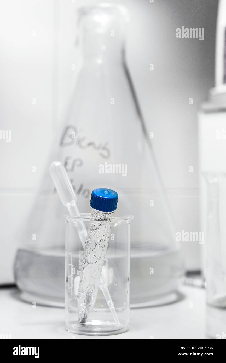 Laboratory equipment. Beaker with a pipette and foilwrapped vial, in