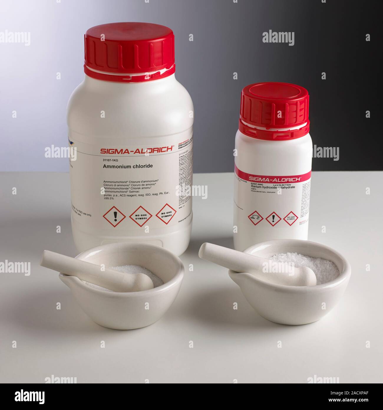 Chemicals measured out in preparation for demonstrating an endothermic reaction. At left is