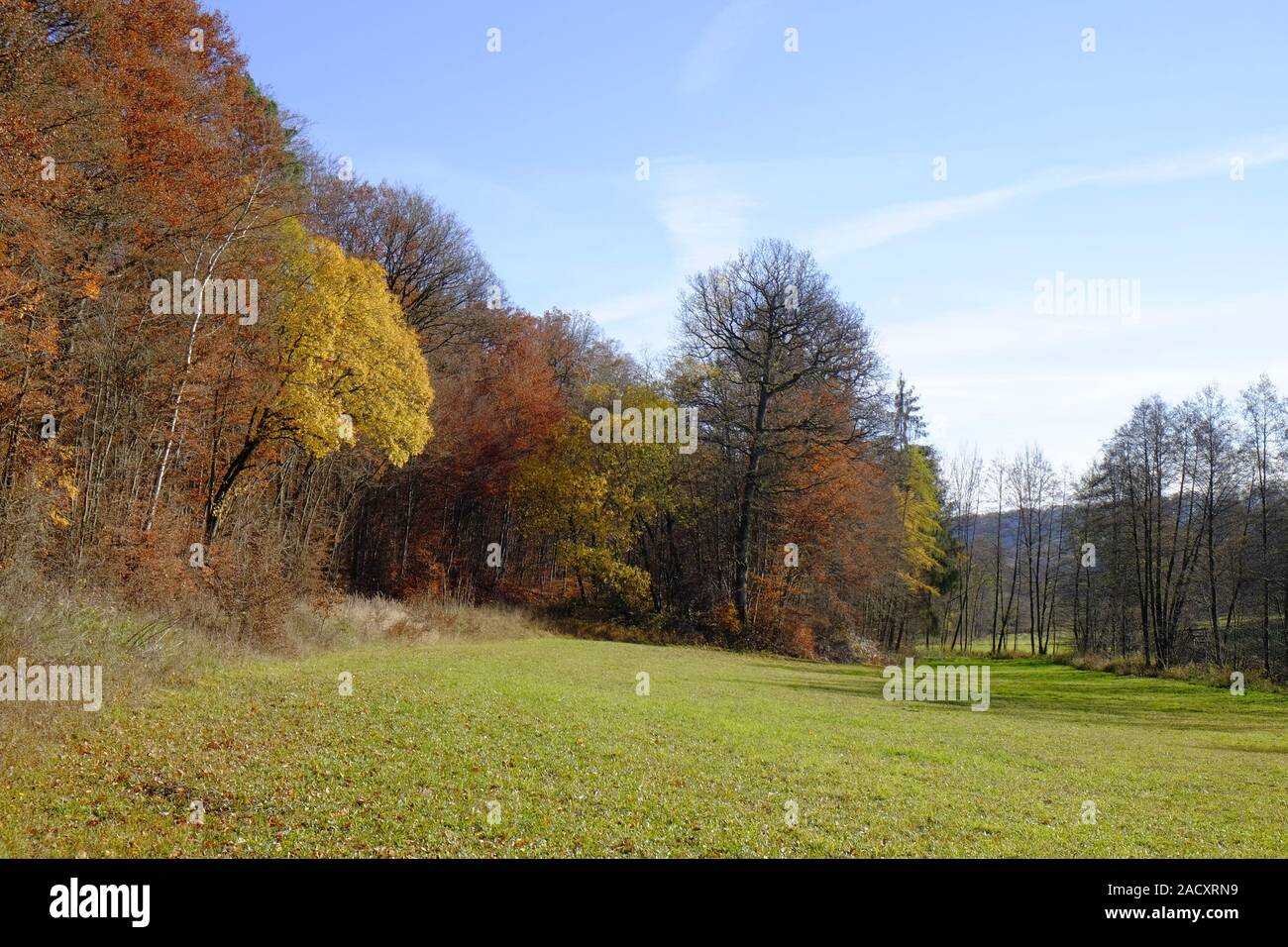 Autumn in the northern Steigerwald, Lower Franconia, Bavaria, Germany Stock Photo