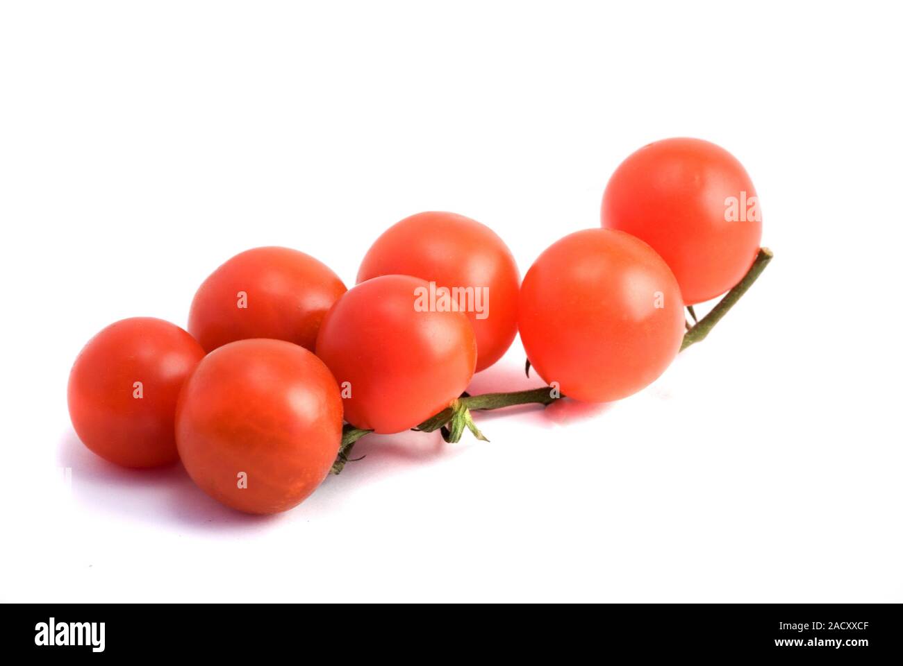 Closeup of branch of cherry tomatoes isolated on white background Stock ...