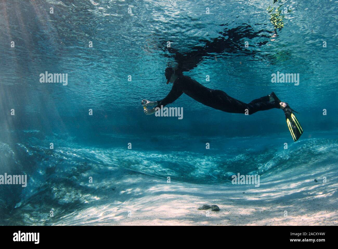 Underwater photography. Man snorkelling in a wetsuit taking photographs