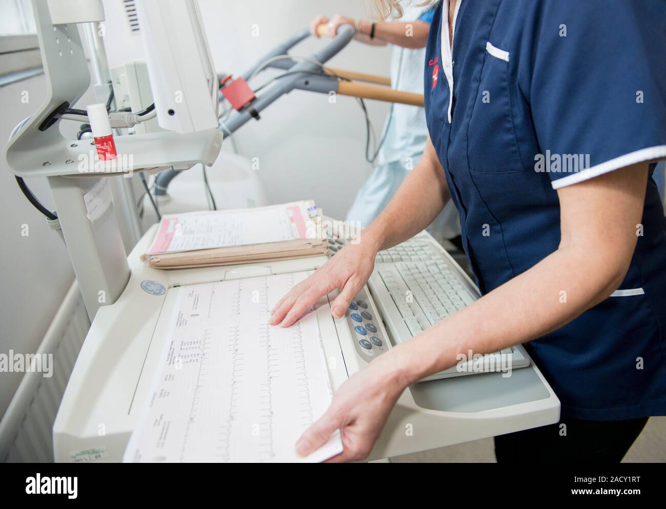 Exercise ECG. A patient undergoing exercise testing on a treadmill, whilst an electrocardiograph