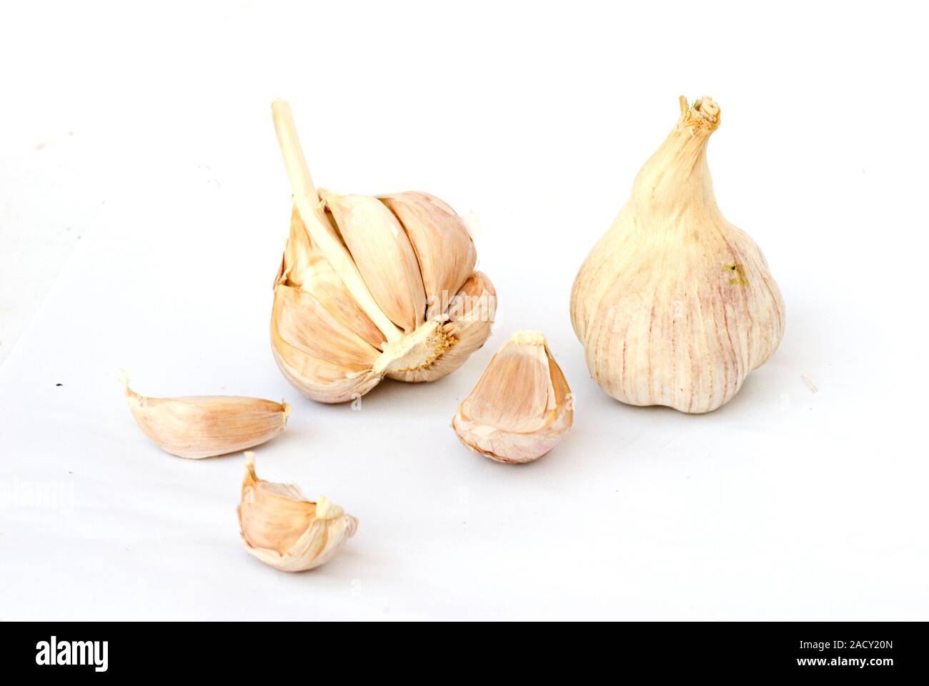 Garlic bulbs and cloves isolated on whie background Stock Photo - Alamy