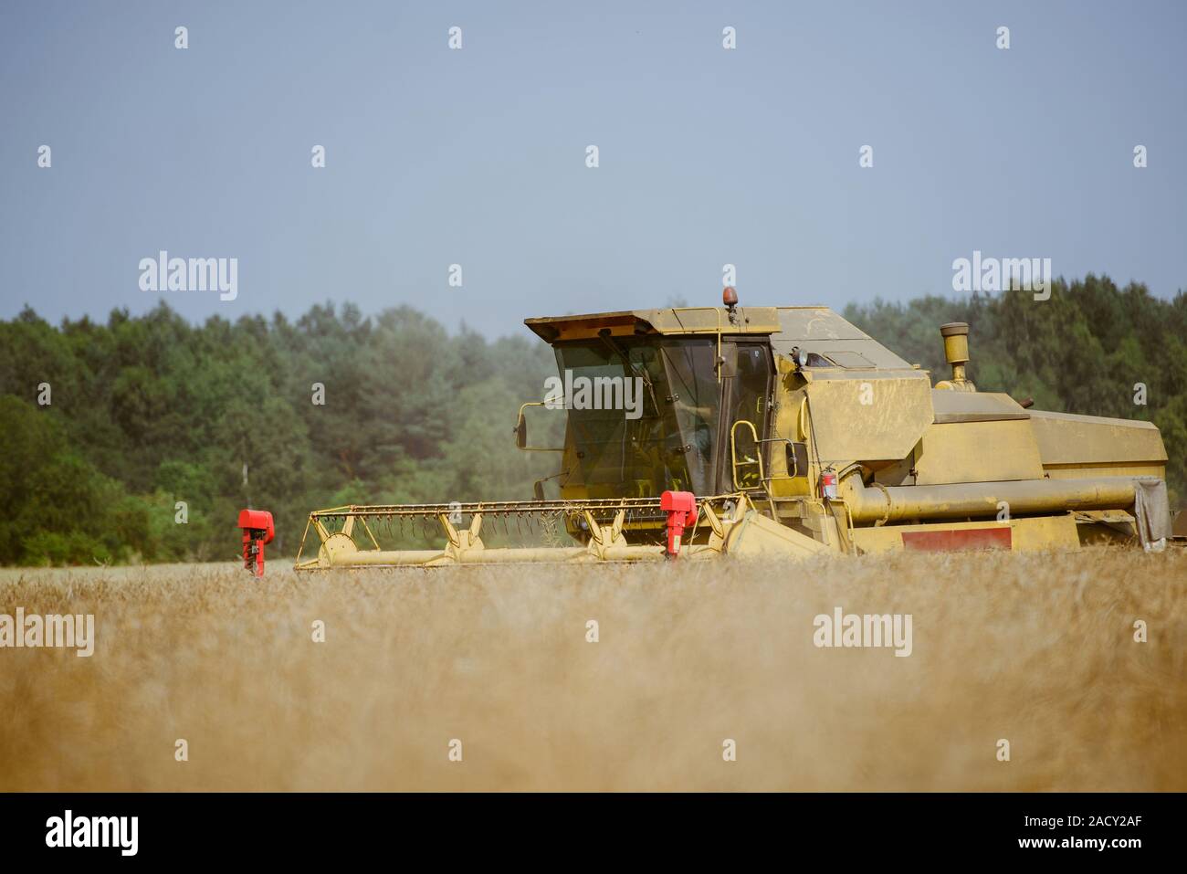 Combine harvesting the rape field at summer Stock Photo - Alamy