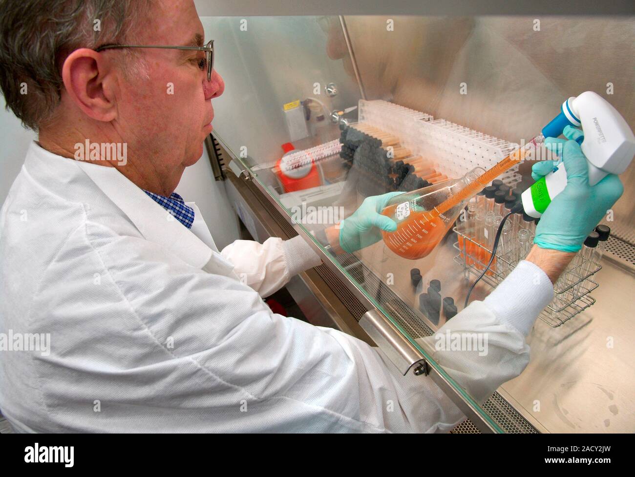 Fungal meningitis research. Scientist preparing tubes for inoculation ...