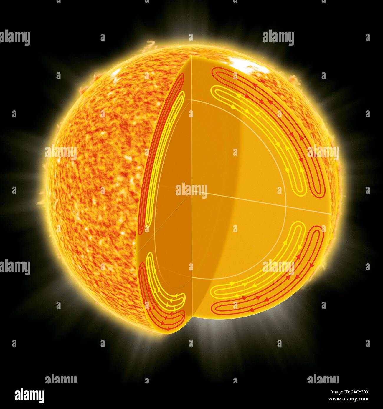 Solar structure. Cutaway computer artwork showing the convection ...