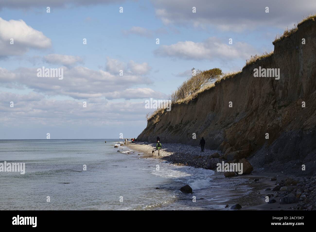 On the steep coast High bank between Ahrenshoop and Wustrow on the peninsula Fischland Stock Photo