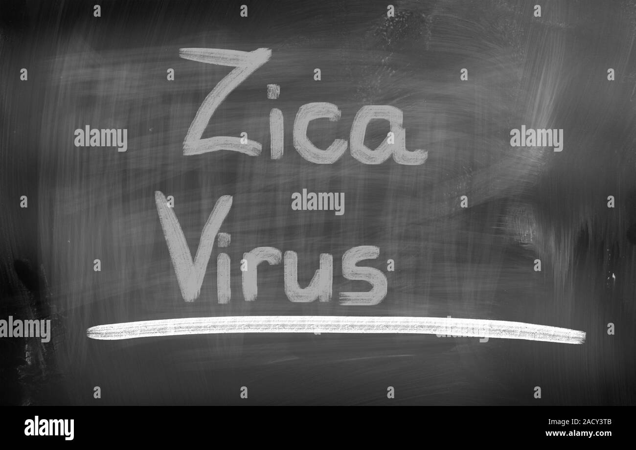 Zica Virus Concept Stock Photo