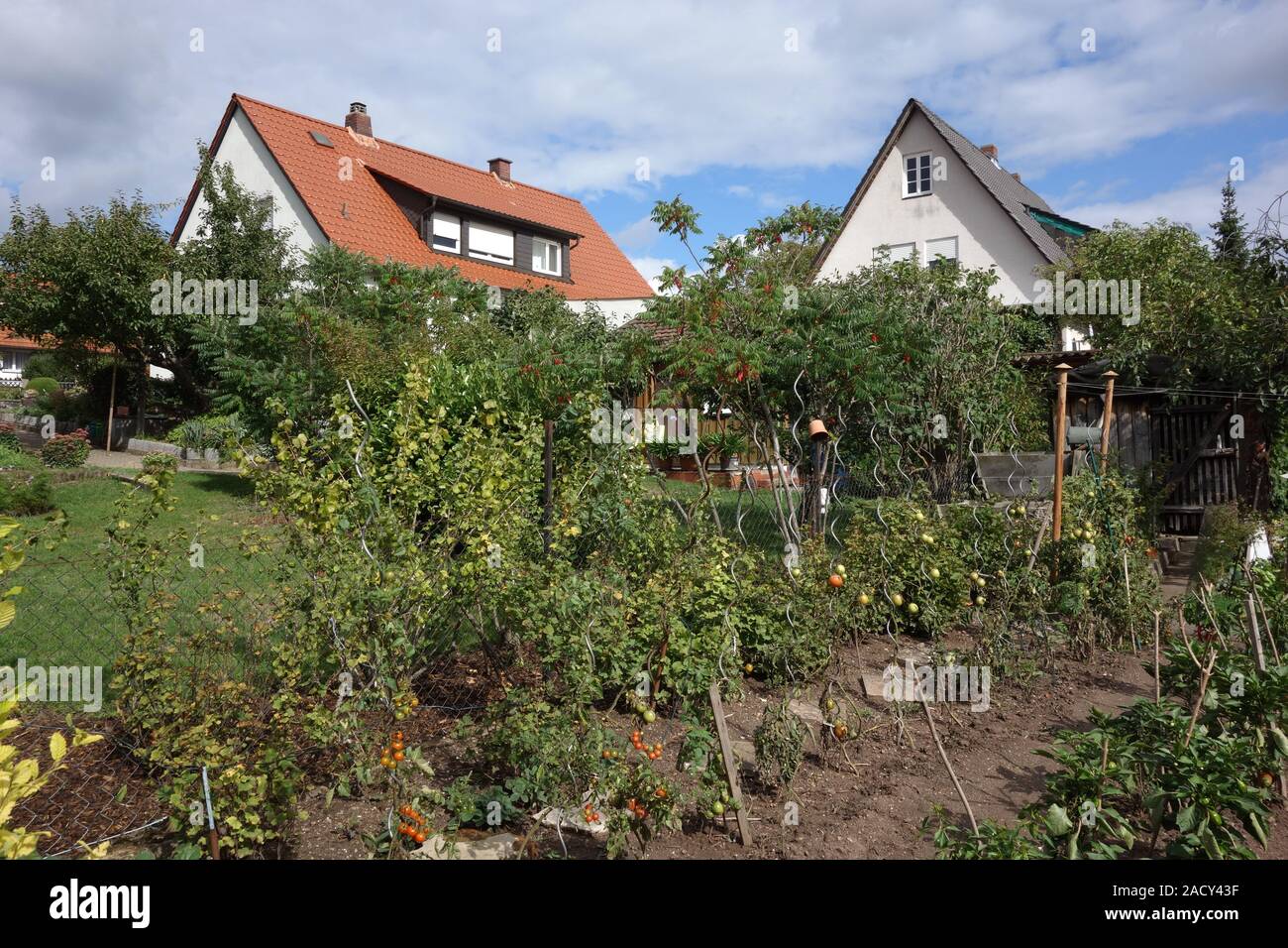 Schweinfurt-Gartenstadt, Lower Franconia, Bavaria, Germany Stock Photo