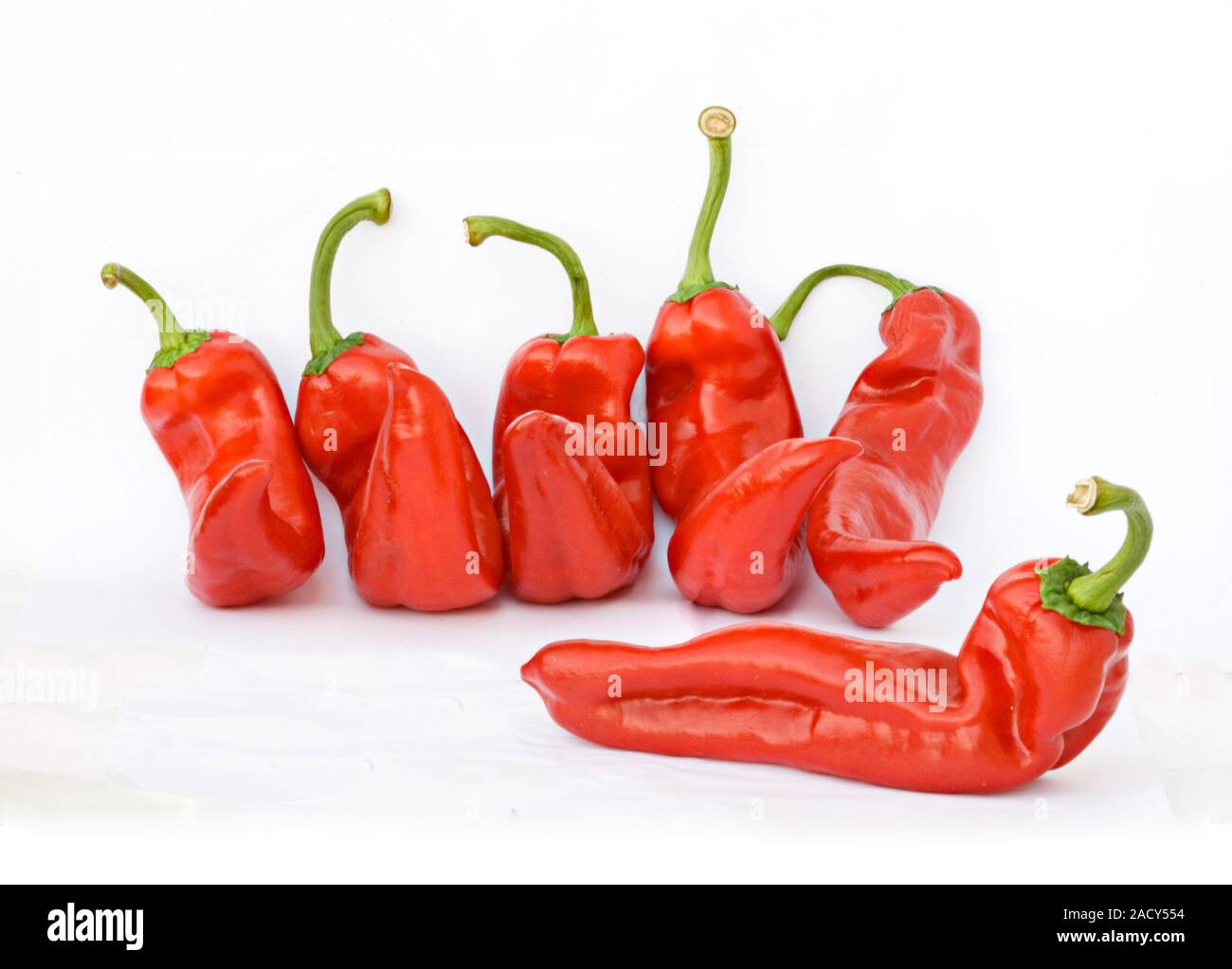 Red sweet peppers isolated on white background Stock Photo - Alamy