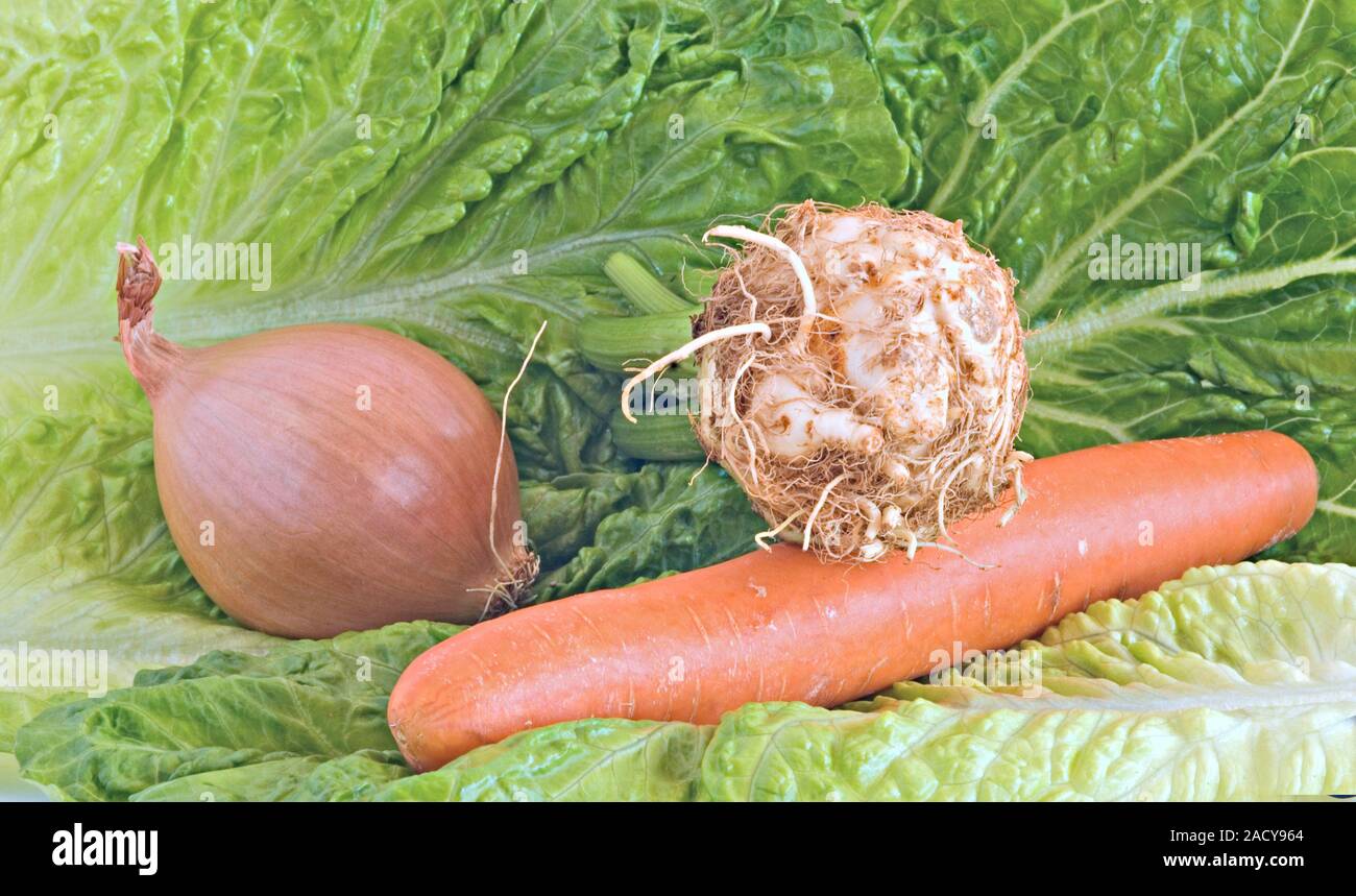 Celery, onion, and carrot ready for mirepoix preparation Stock Photo