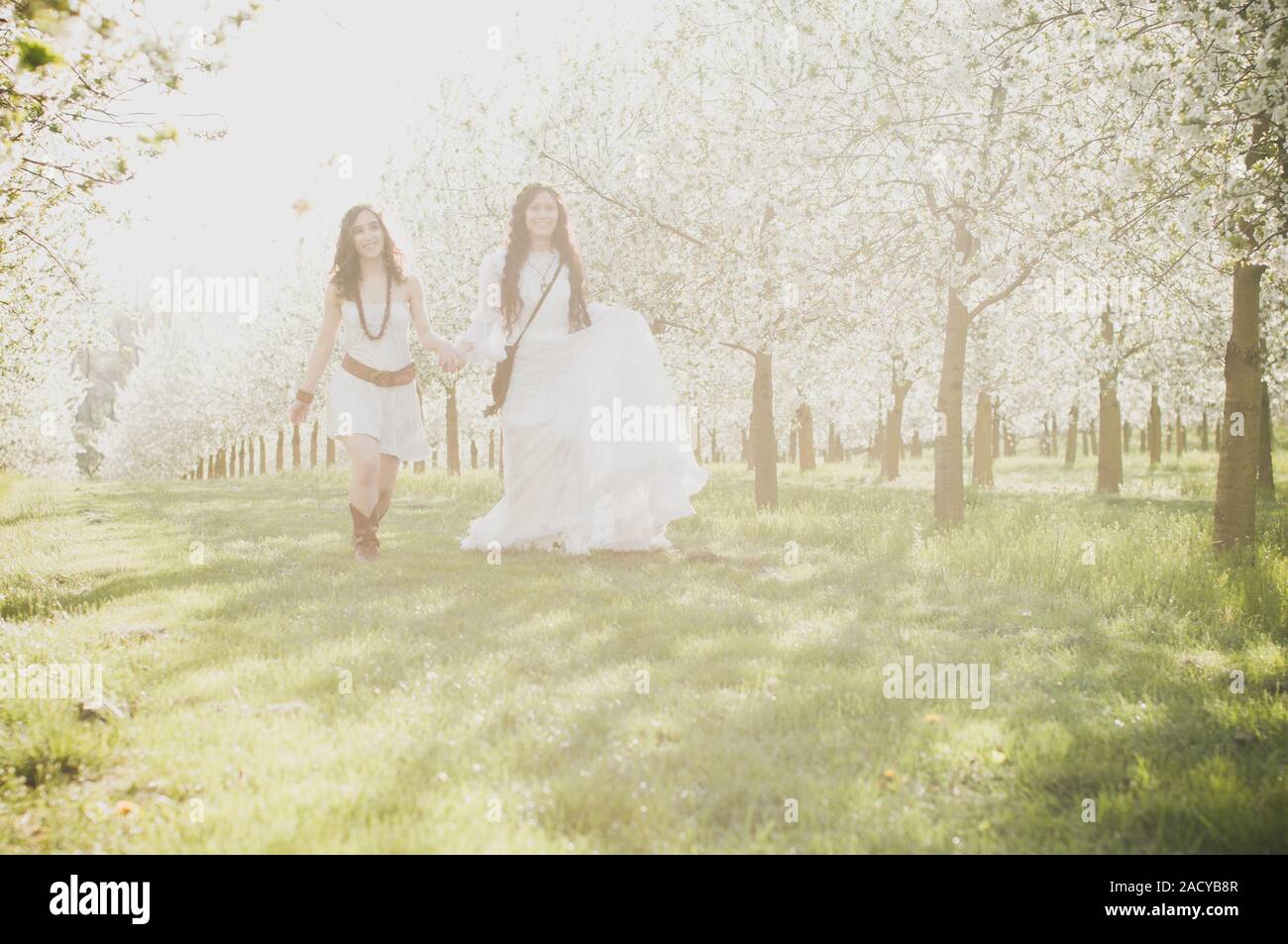 Girl in the cherry blossom Stock Photo - Alamy