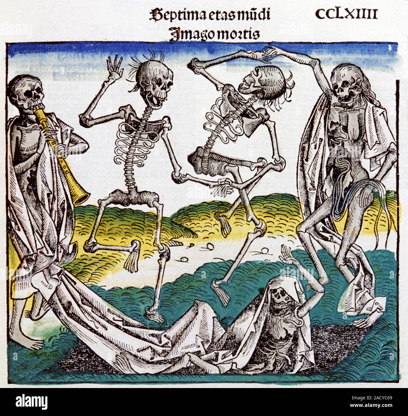 Danse Macabre Medieval Art