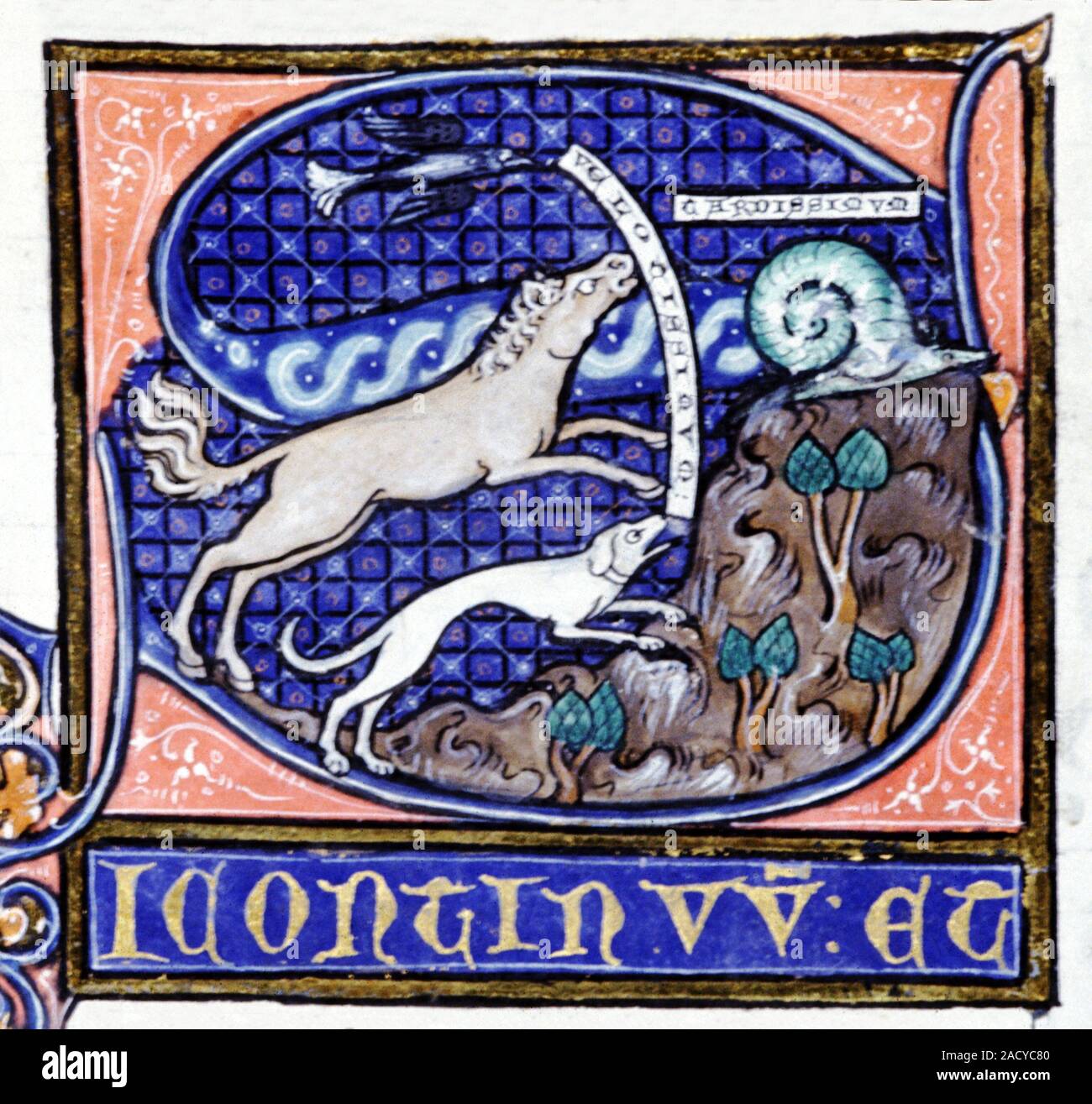 Mediaeval zoological manuscript. 14th Century miniature from 'The Physics of Aristotle', depicting the classification of animals according to their mo Stock Photo - Alamy Mediaeval zoological manuscript. 14th Century miniature from 'The Physics of Aristotle', depicting the classification of animals according to their mo Stock Photo - Alamy