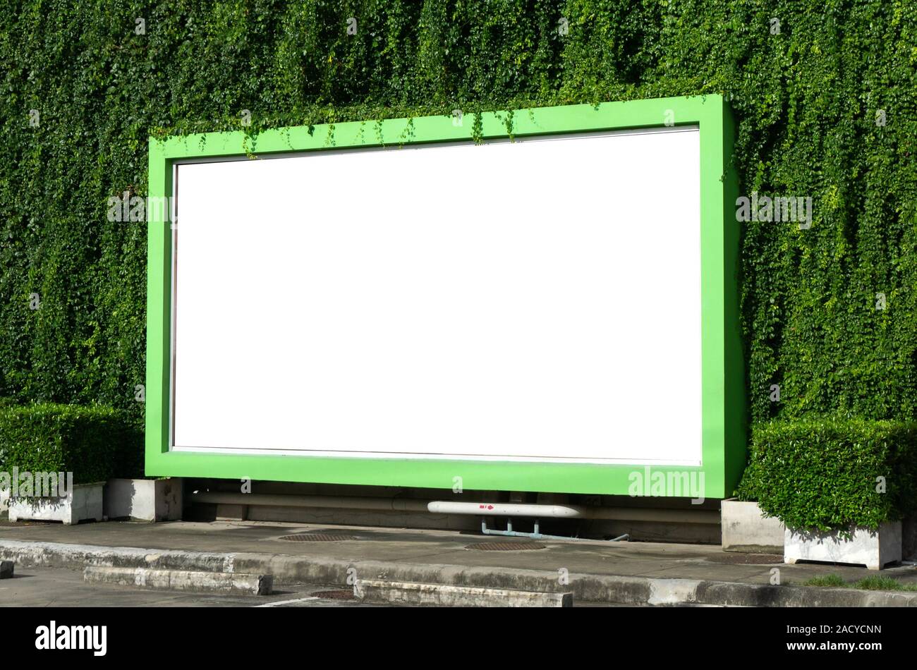 White billboard on spring summer green leaves background. Stock Photo