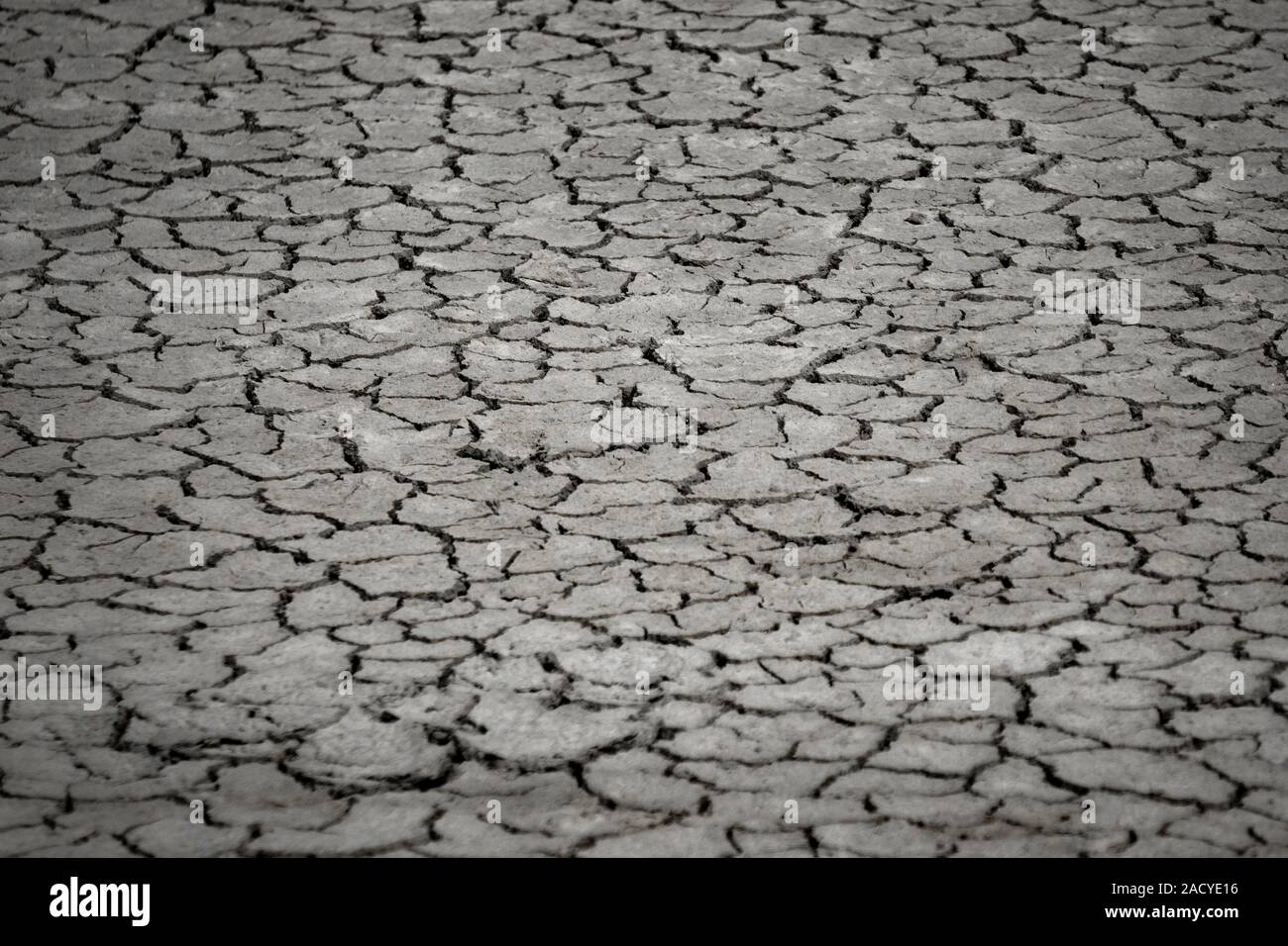 Blackground of Dry land or soil during the dry season. Stock Photo