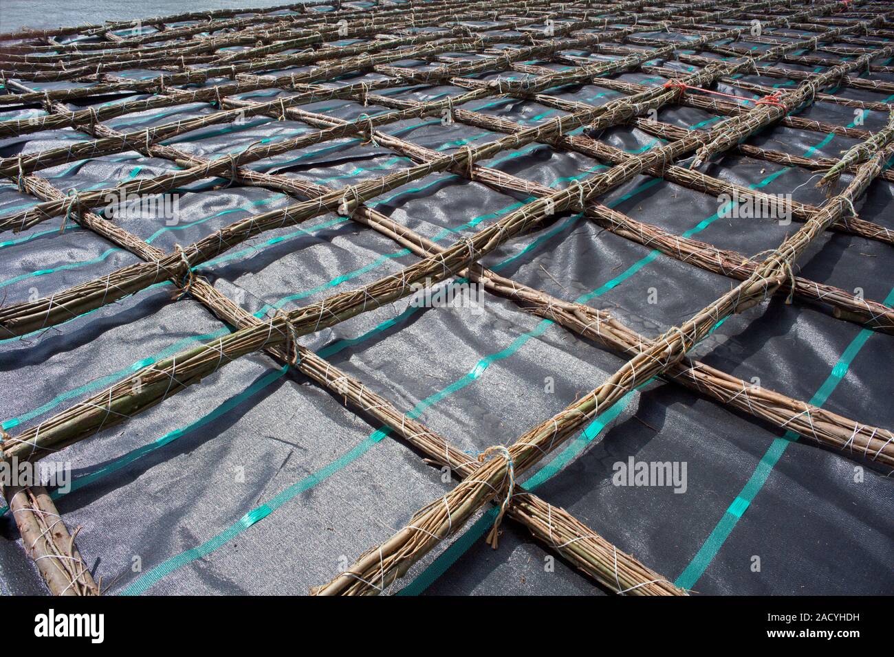 Detail of a fascine mat consisting of a large sheet of heavy ...