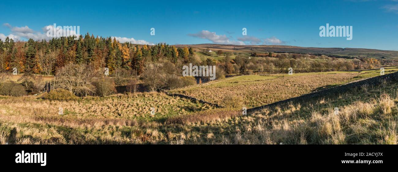 Across to Newbiggin, Teesdale from Holwick Head House Panorama in Late