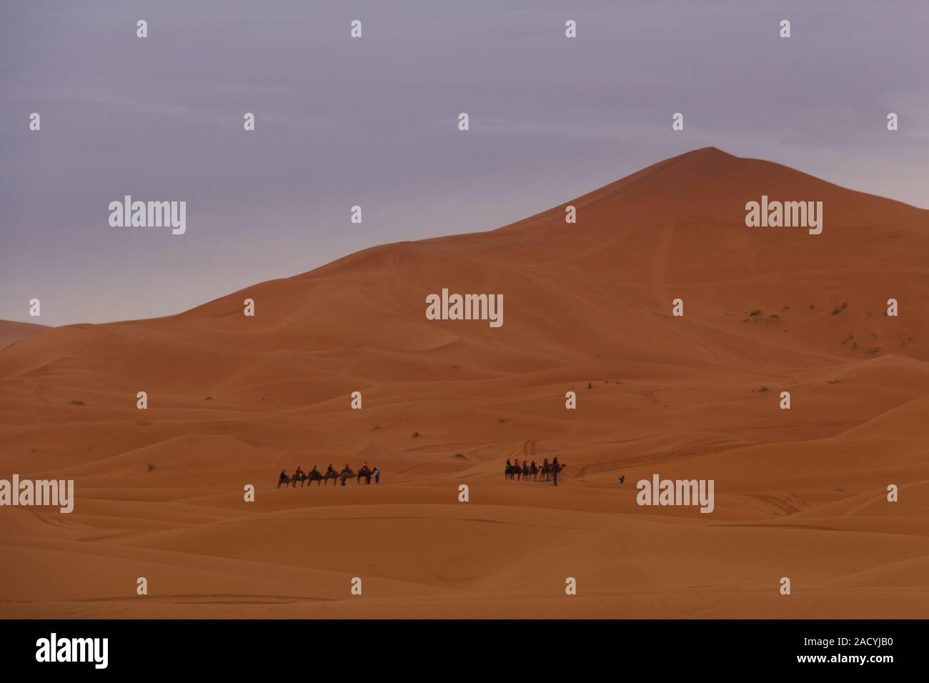dunes in the sahara desert in morocco Stock Photo - Alamy