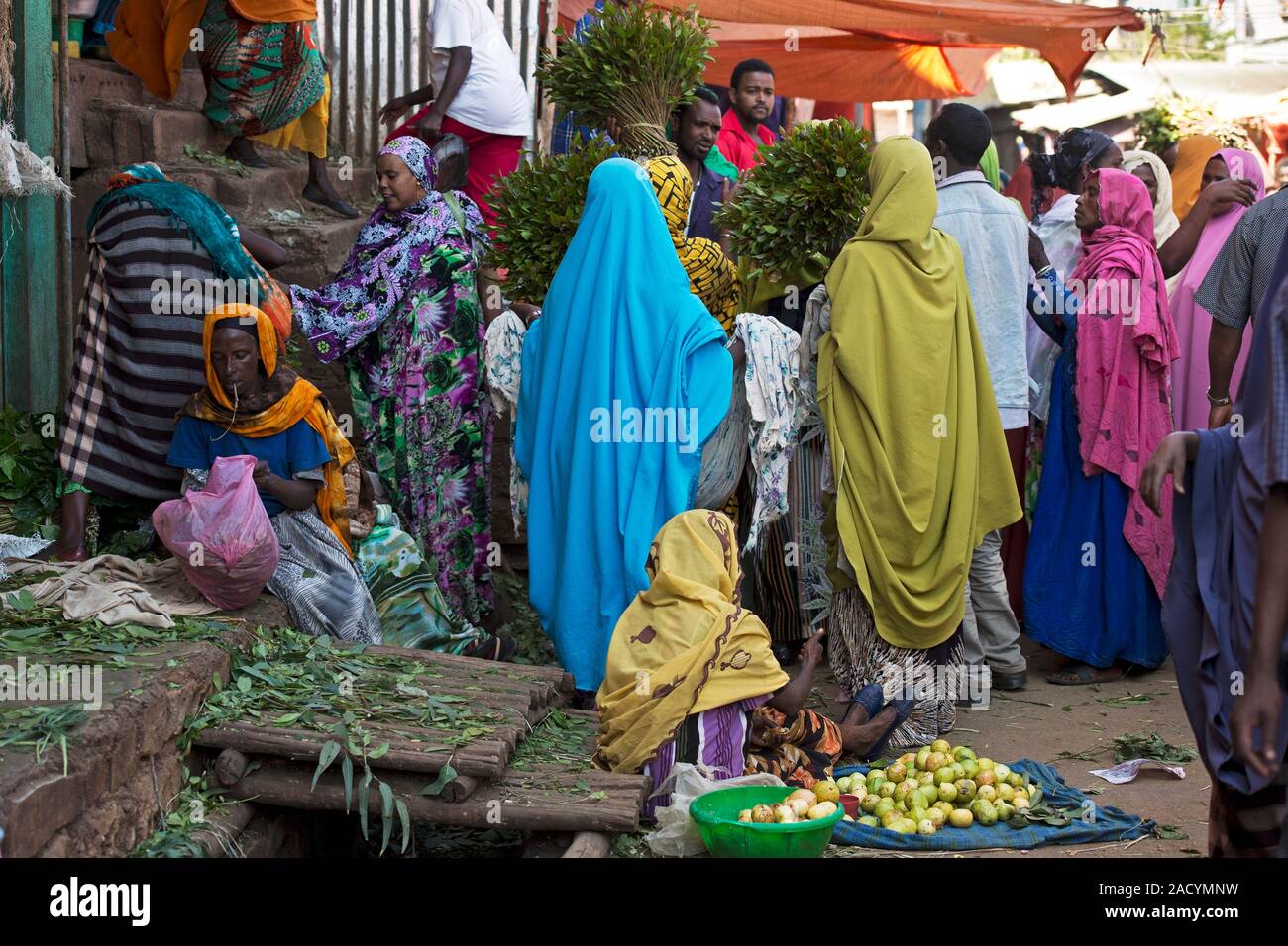 Awoday Khat (Catha edulis) market scene near the town of Harar in
