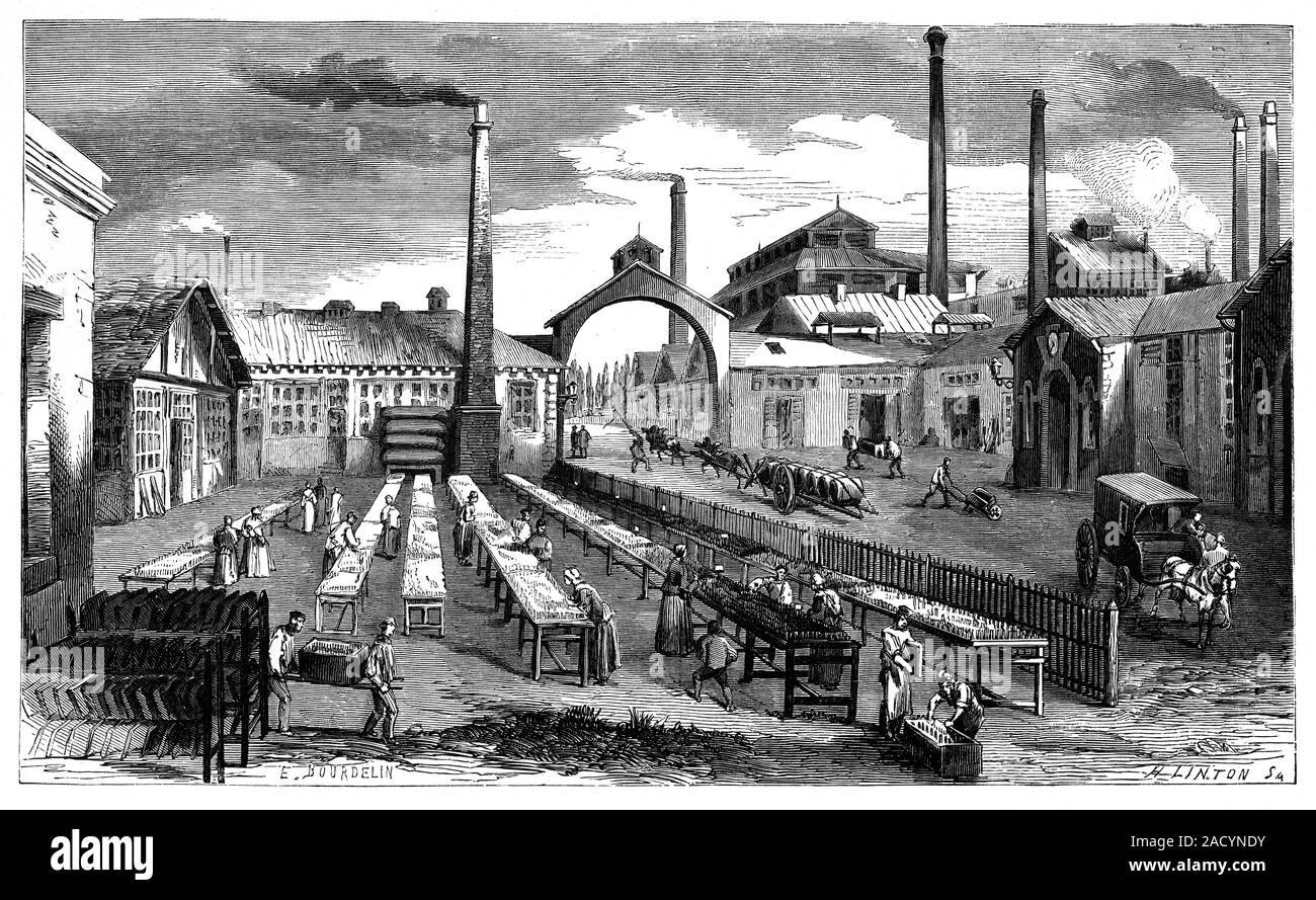 Candle factory, 19th century. Illustration of workers in the courtyard