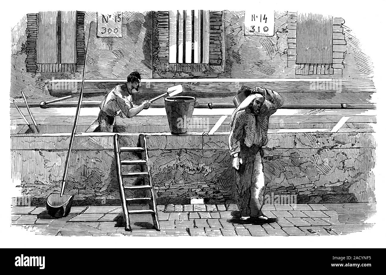 Soap factory workers, 19th century. Illustration of workers working