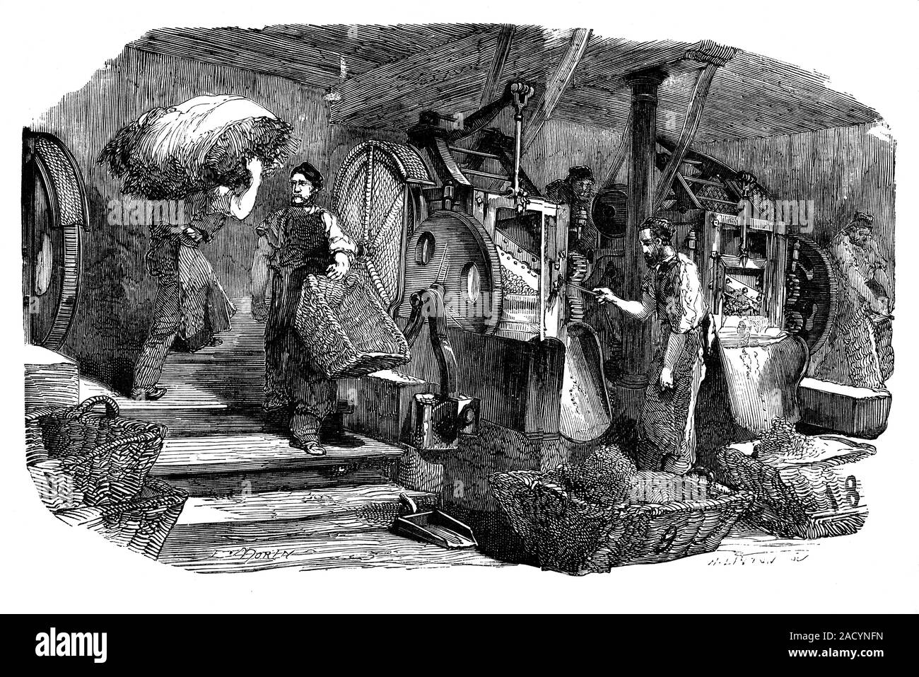 tobacco industry history Tobacco industry, 19th century. Illustration of workers using machines to  shred tobacco plants. Artwork from volume 2 (1875) of a republication of  'Le Stock Photo