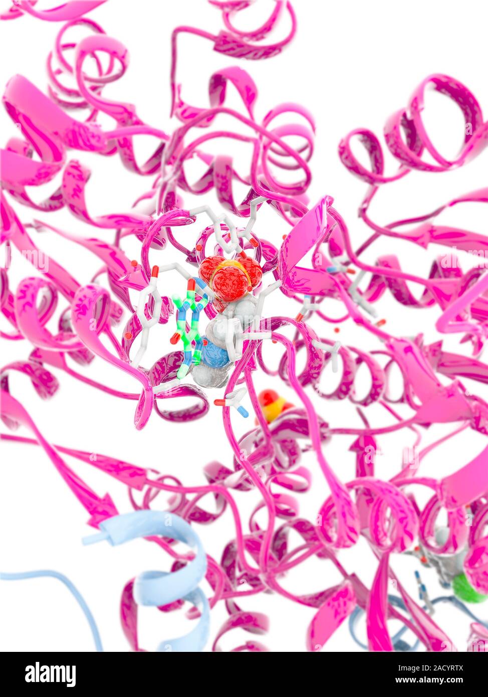 Glycogen phosphorylase active site. Computer model of a close-up of a
