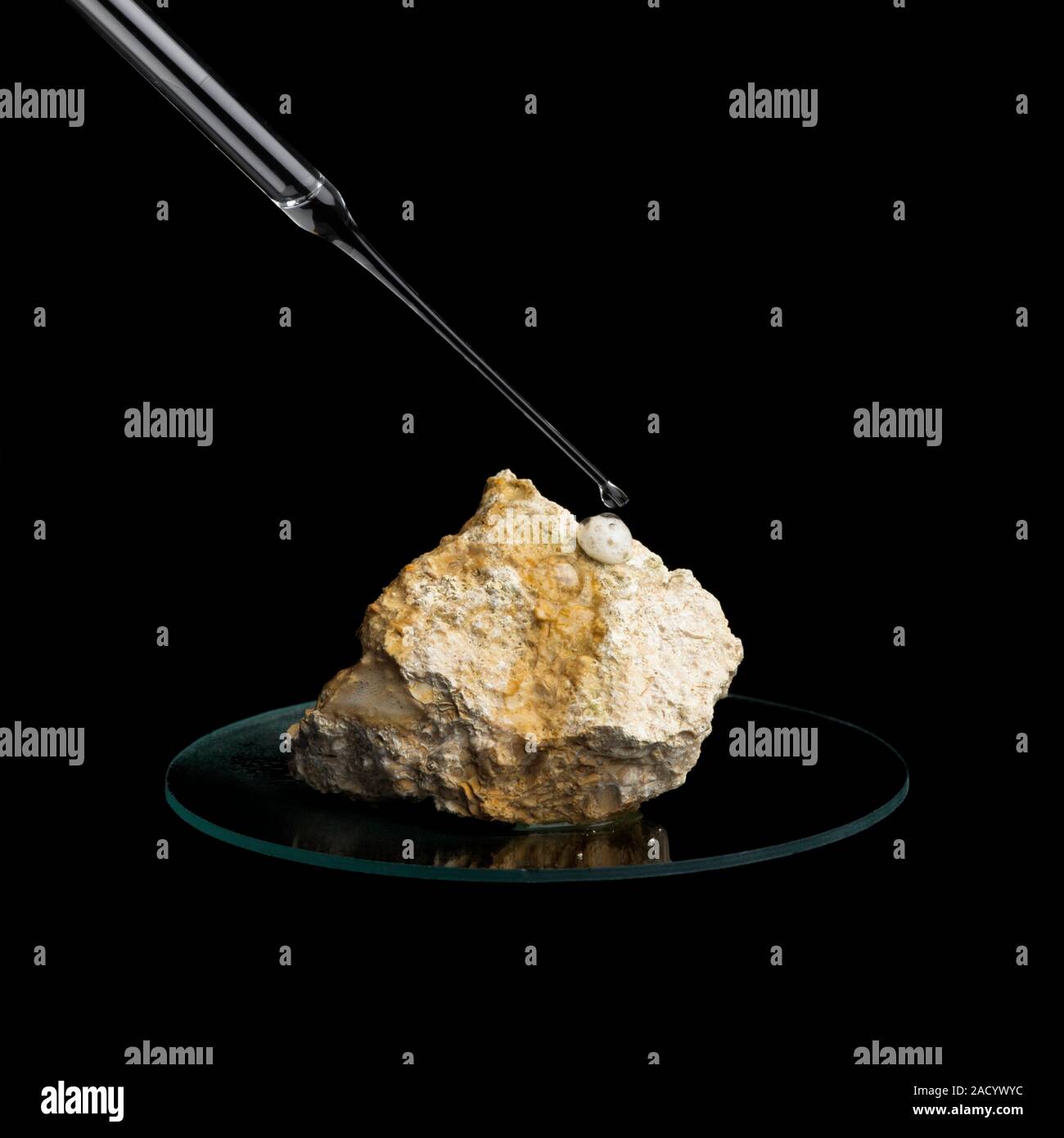 Acid test for carbonates. A piece of limestone being treated with