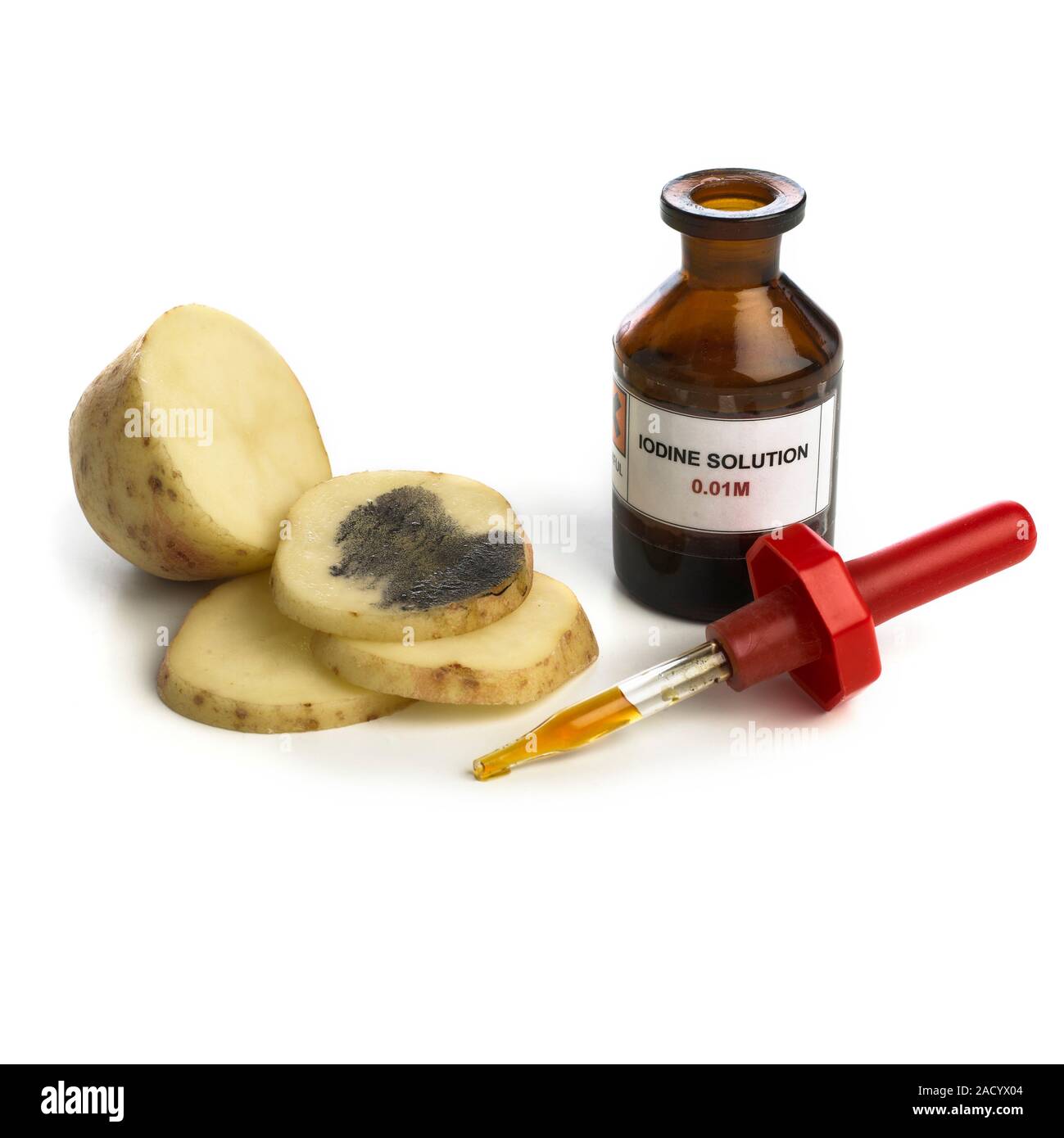Iodine used to detect the presence of starch. Iodine solution is iodine ...