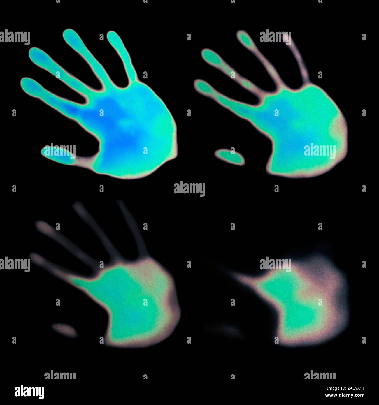 Thermochromism. Hand prints on thermochromic paper. The paper has a