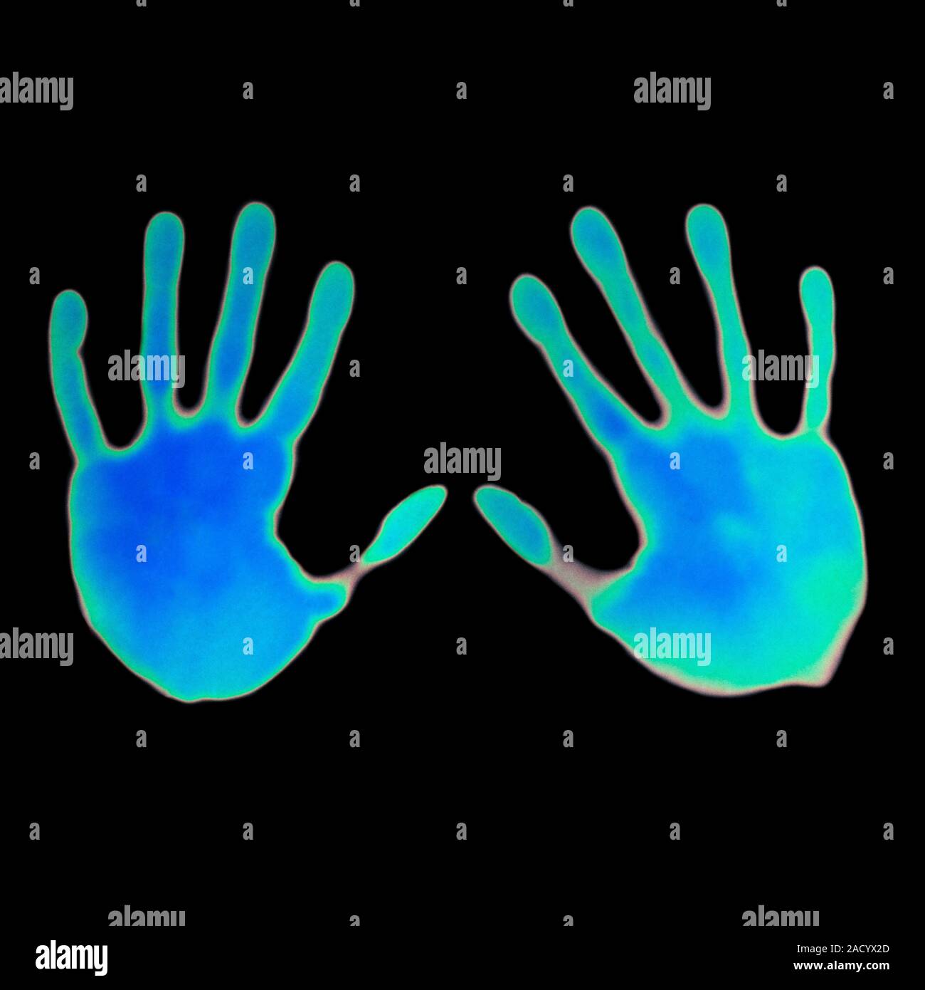 Thermochromism. A pair of hand prints on thermochromic paper. The paper