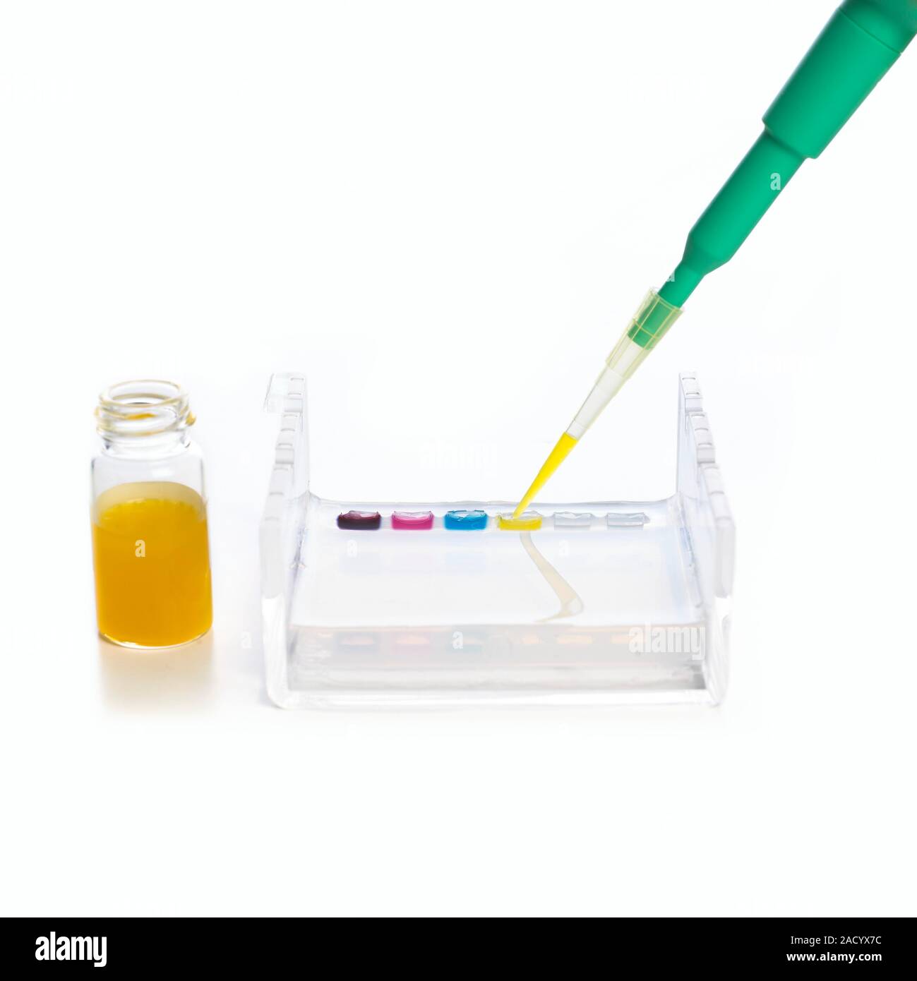 Equipment for gel electrophoresis. A sample of a yellow dye being added