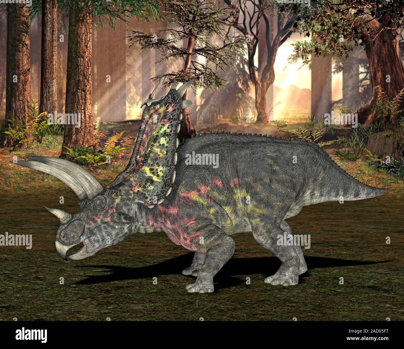 Pentaceratops Dinosaur Computer Illustration Of A Pentaceratops Sp 
