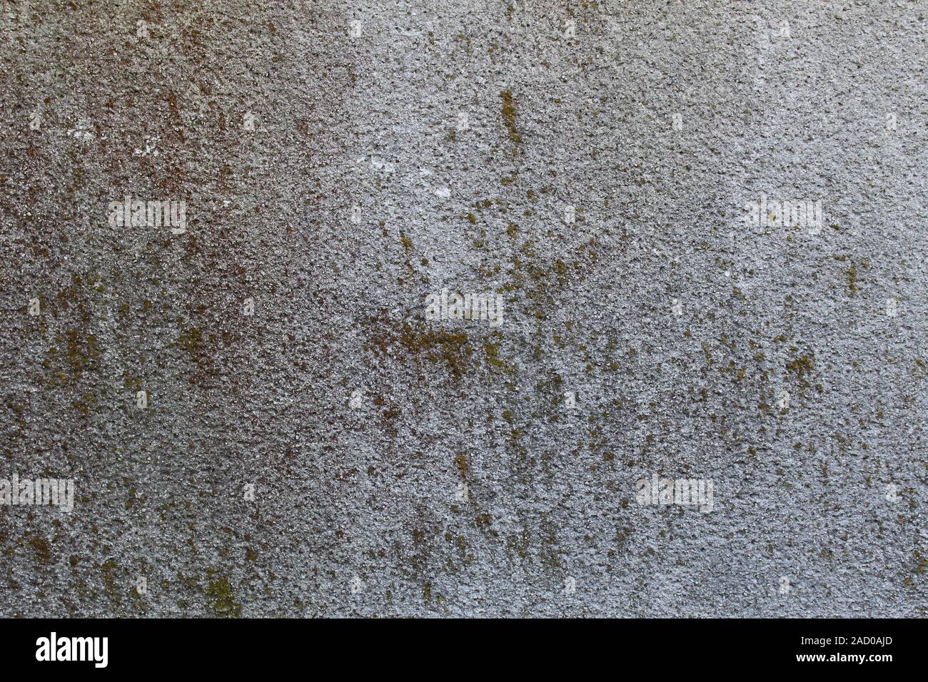 Rough concrete wall texture with lichen for background Stock Photo