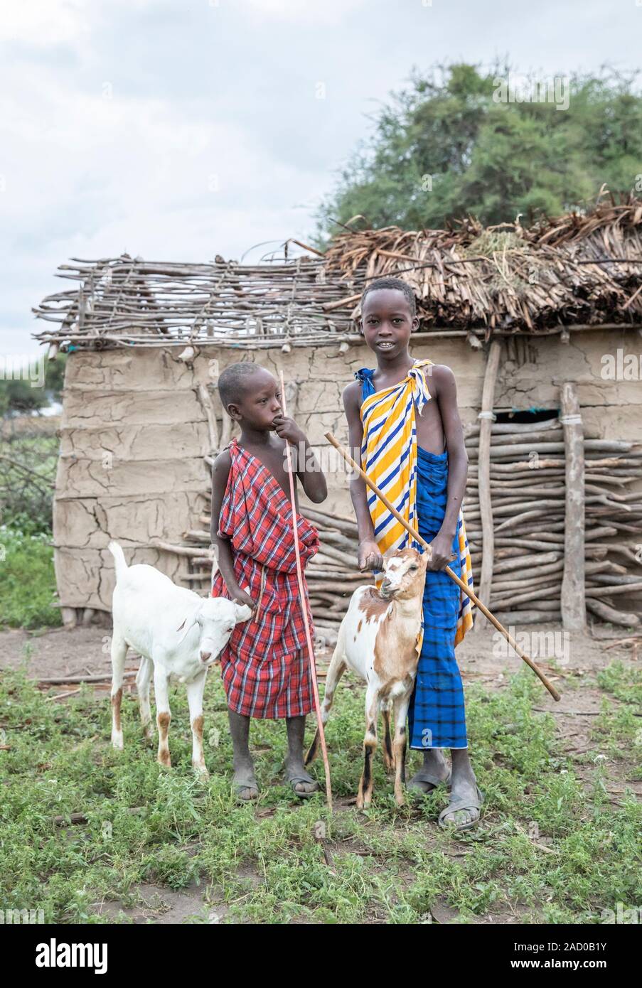 Same, Tanzania, 7th June 2019: maasai kid with a goat Stock Photo