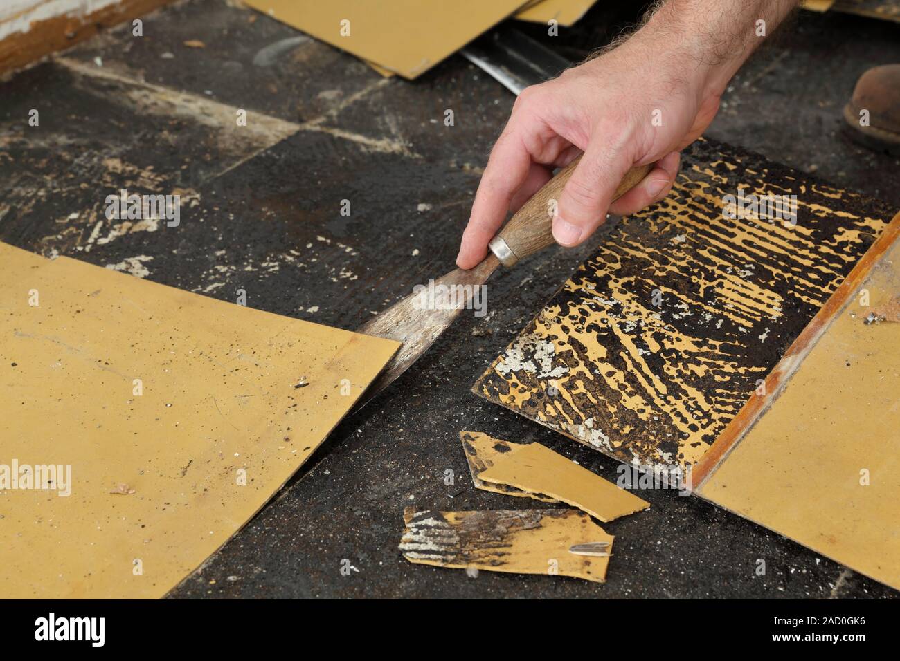 Worker Removing Old Vinyl Tiles From Kitchen Floor Using Spatula