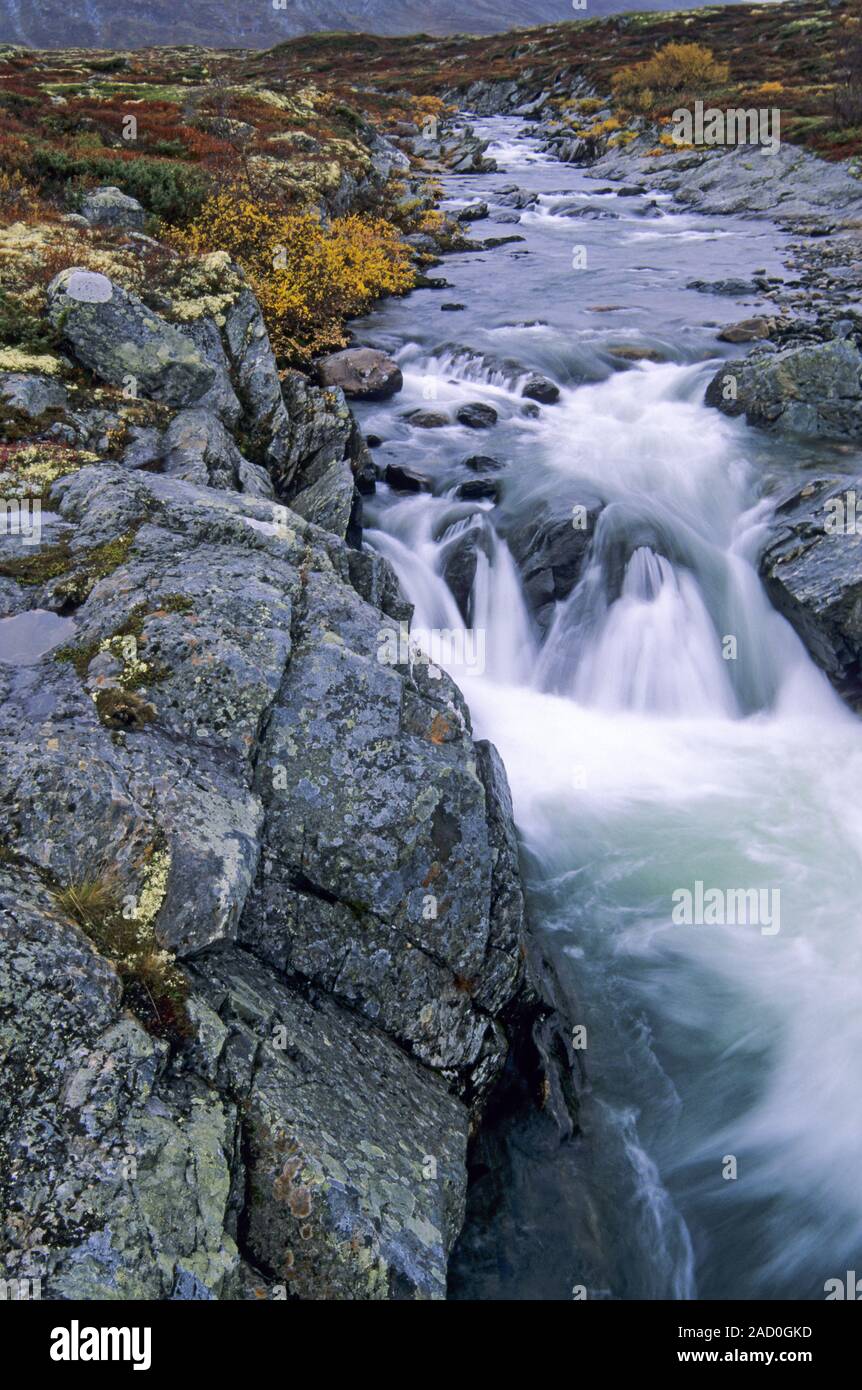 White water rapids of Driva river / Dovrefjell-Nationalpark  -  Soer Trondelag Norwegen Stock Photo