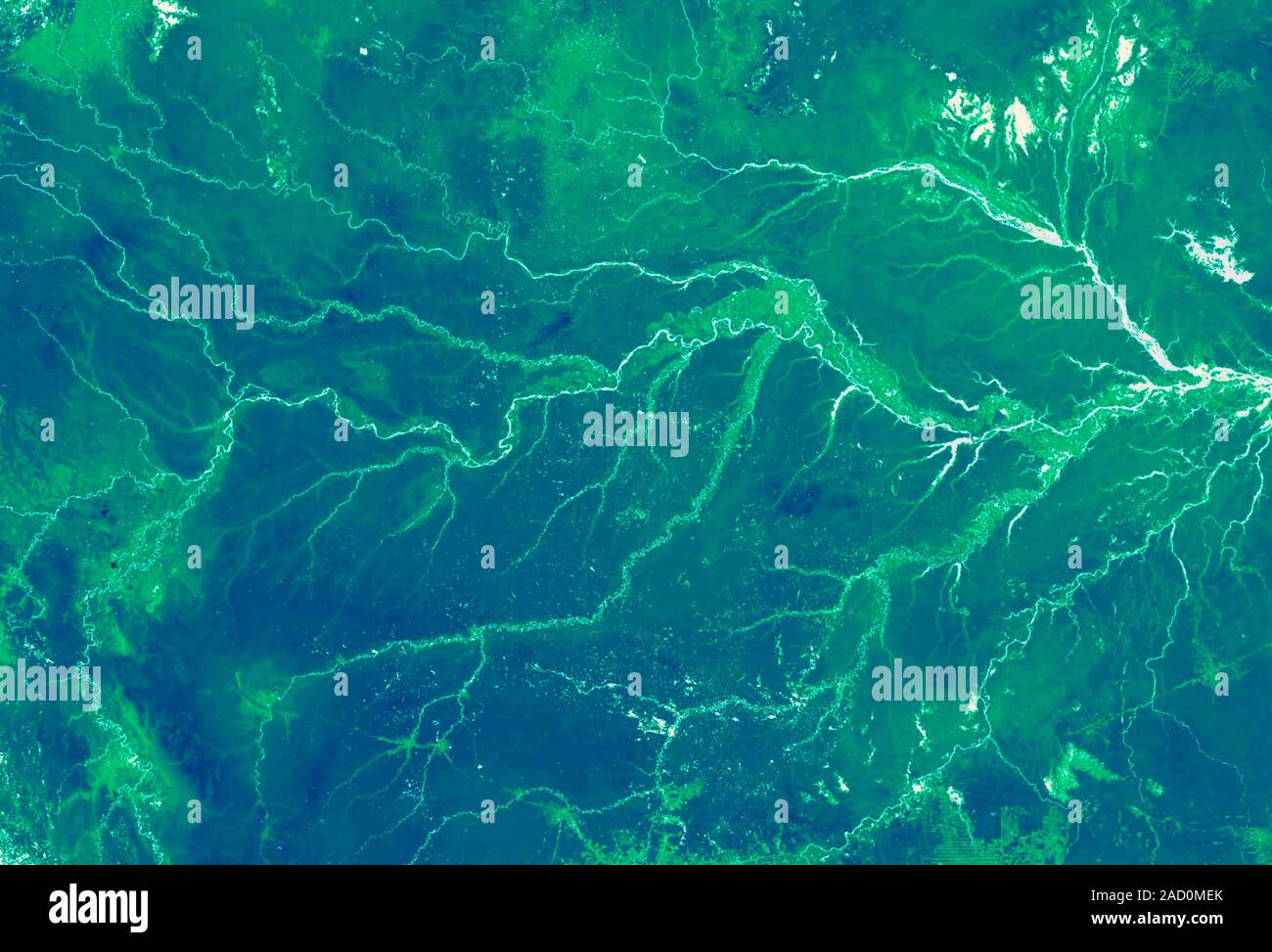 Amazon rainforest. Satellite image of the Amazon rainforest, South