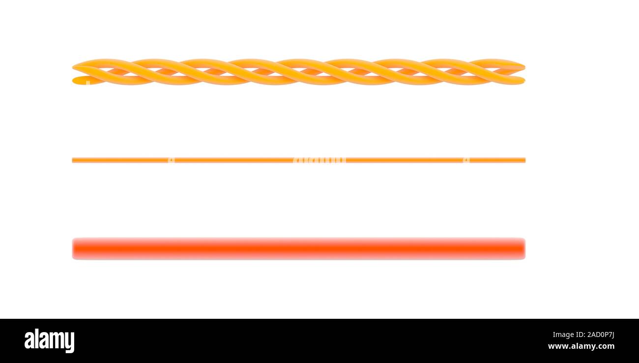 Structure of collagen. Illustration of the structure of the protein