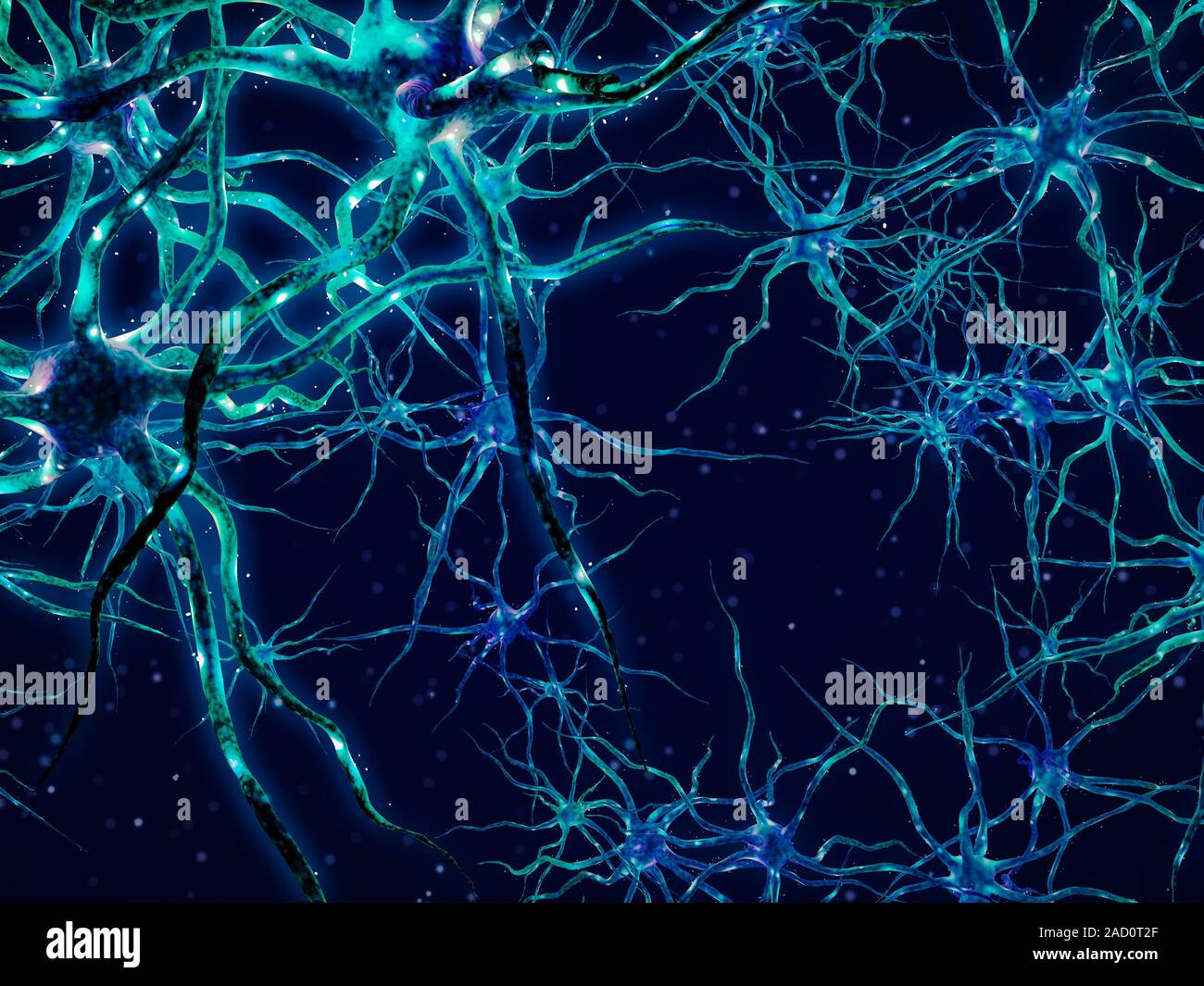 Neural network. Computer illustration of nerve cells, or neurons ...