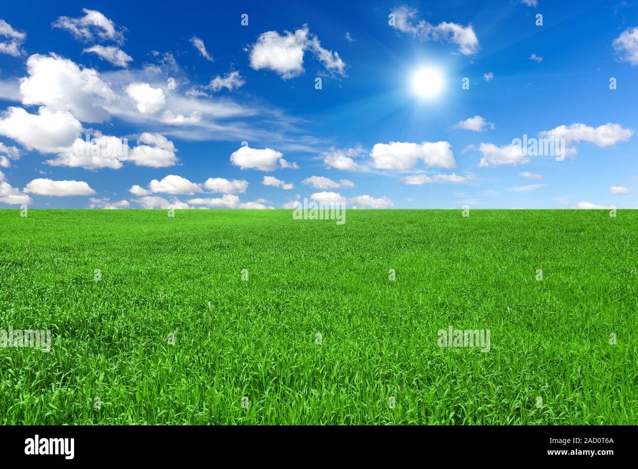 Kefir Cheese Stock Photo